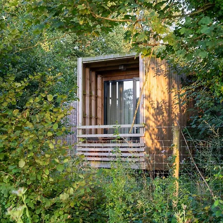 Forest Escape Feriehus
