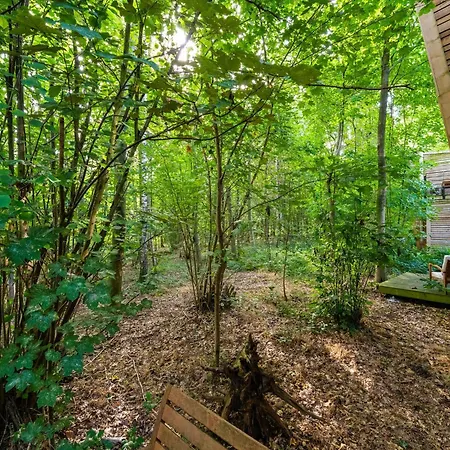 Forest Escape 度假居
